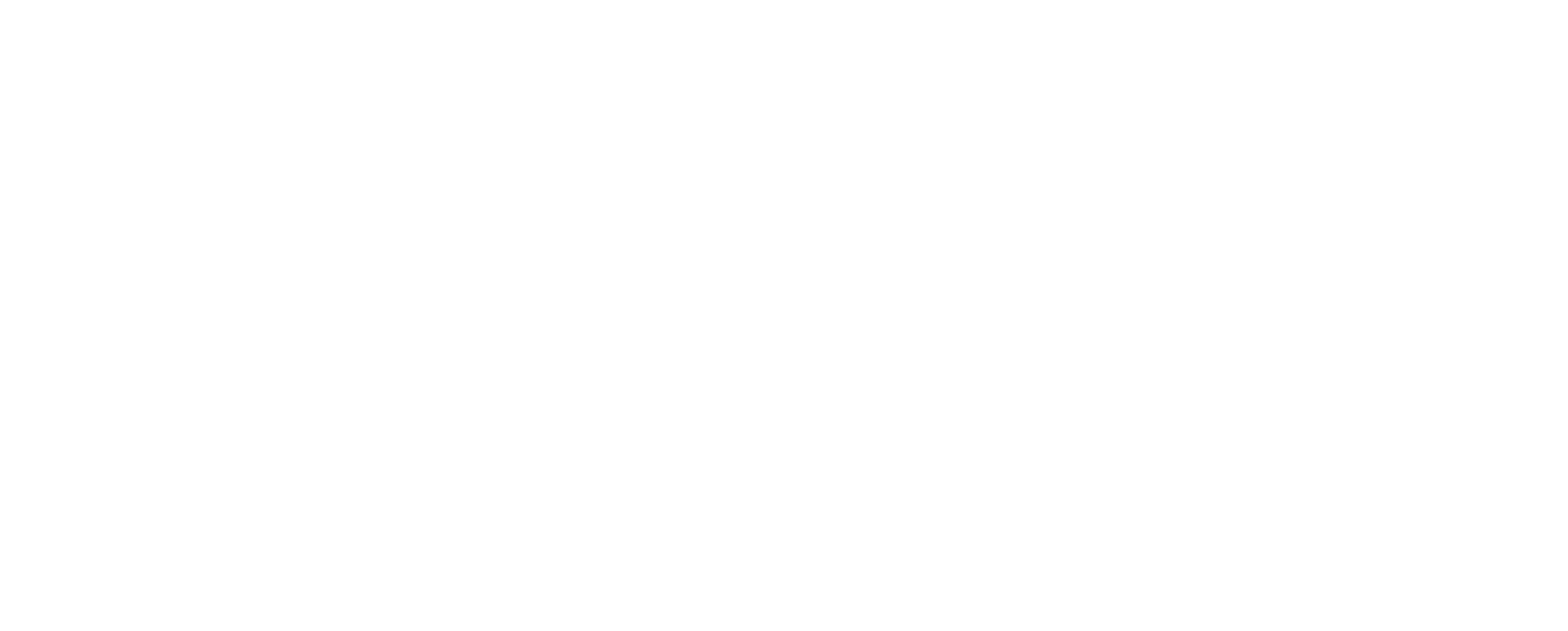 WMG_Logo_White